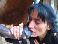 Brunette making a horse orgasm with her mouth